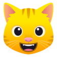 Smiling Cat Face With Open Mouth on JoyPixels