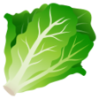 Leafy Green on JoyPixels