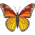 Butterfly on JoyPixels