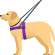 Guide Dog on JoyPixels