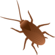 Cockroach on JoyPixels