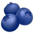 Blueberries on JoyPixels