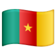 Cameroon Flag on Samsung One UI