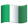 Nigeria Flag on Samsung One UI