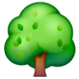 Deciduous Tree on Samsung One UI