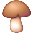 Brown Mushroom on Samsung One UI
