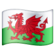 Wales Flag on Samsung One UI