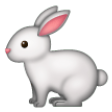 Rabbit on Samsung One UI