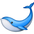 Whale on Samsung One UI