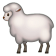 Sheep on Samsung One UI