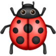 Lady Beetle on Samsung One UI