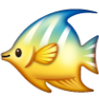 Tropical Fish on Samsung One UI