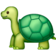Turtle on Samsung One UI