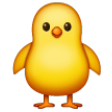 Front-facing Baby Chick on Samsung One UI
