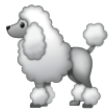 Poodle on Samsung One UI
