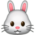 Rabbit Face on Samsung One UI