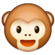 Monkey Face on Samsung One UI