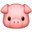 Pig Face on Samsung One UI