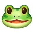 Frog Face on Samsung One UI