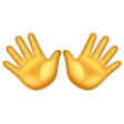 Open Hands Sign on Samsung One UI