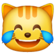 Cat Face With Tears Of Joy on Samsung One UI