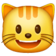 Smiling Cat Face With Open Mouth on Samsung One UI