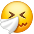 Sneezing Face on Samsung One UI