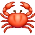 Crab on Samsung One UI