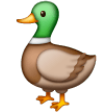 Duck on Samsung One UI
