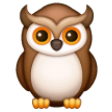 Owl on Samsung One UI