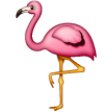 Flamingo on Samsung One UI
