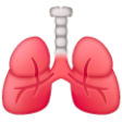 Lungs on Samsung One UI