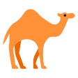 Dromedary Camel on Tossface