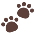 Paw Prints on Tossface
