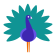 Peacock on Tossface