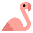 Flamingo on Tossface