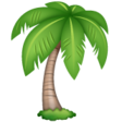 Palm Tree on WhatsApp