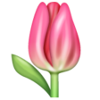 Tulip on WhatsApp