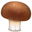 Brown Mushroom on WhatsApp