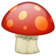 Mushroom on WhatsApp