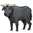 Water Buffalo on WhatsApp