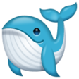 Whale on WhatsApp