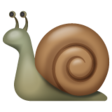 Snail on WhatsApp