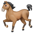 Horse on WhatsApp