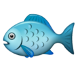 Fish on WhatsApp