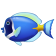 Tropical Fish on WhatsApp