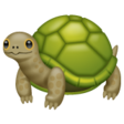 Turtle on WhatsApp