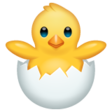 Hatching Chick on WhatsApp