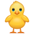 Front-facing Baby Chick on WhatsApp