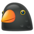 Black Bird on WhatsApp